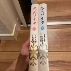 冬のソナタ　上下の画像