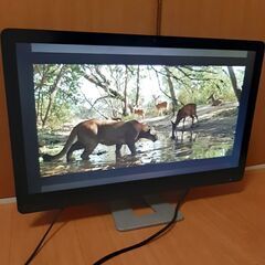 フルHD液晶ディスプレーPCモニターの画像