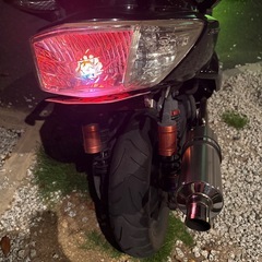 シグナス2型se44j
の画像