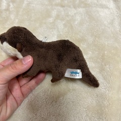カワウソぬいぐるみキーホルダーの画像