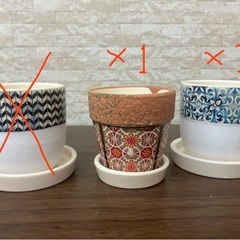 ミニサイズ　植物用　鉢　1個100円の画像