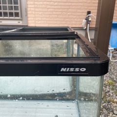 90cm水槽！の画像
