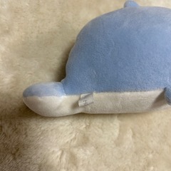 イルカぬいぐるみの画像
