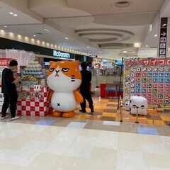 笑顔と元気を活かして働いてみませんか！？の画像