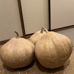 かぼちゃ🎃の画像