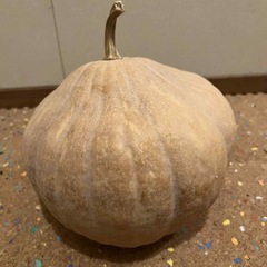 かぼちゃ🎃の画像