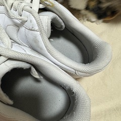 NIKEエアフォース1の画像