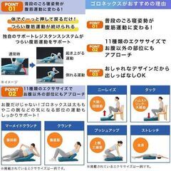 ゴロネックス ごろ寝で楽ちん腹筋の画像