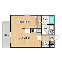 🏢安心の叶えRoom✨『1LDK』柏市西原✨敷金礼金無料💰…