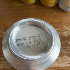 エビスビール7缶／未来のレモンサワー2缶/氷結レモン1缶【計10缶】の画像
