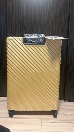 【新品未使用】TSAロック付きスーツケース 73x50x32cm