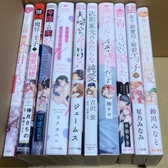 BLコミック78冊おまけ10冊ありの画像