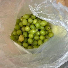 🍇 訳あり 山梨県産 シャインマスカット 3kg 🍇の画像