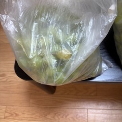 🍇 訳あり 山梨県産 シャインマスカット 3kg 🍇の画像
