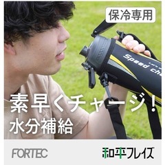 水筒　ステンレスボトル 保温・保冷　和平フレイズ(Wahei freiz) の画像