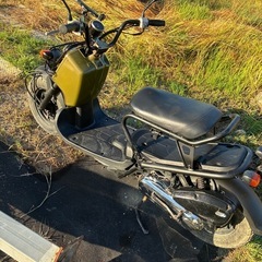 HONDAズーマー【キャブ車】の画像