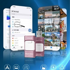 【新品未使用】256GB iPhone対応 USBメモリ アプリ不要の画像