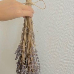 10/4取りに来れる方！引っ越し！いい香り^_^ドライラベンダーの束ドライフラワーの画像