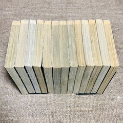 賭博黙示録カイジ 全巻セットの画像