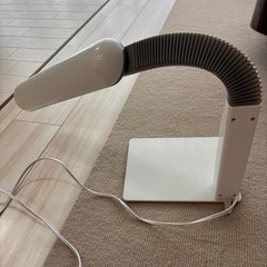 机上電球の画像