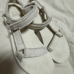 TEVA キャンパスサンダル 24.5の画像