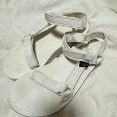 TEVA キャンパスサンダル 24.5の画像