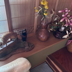 片付けの画像