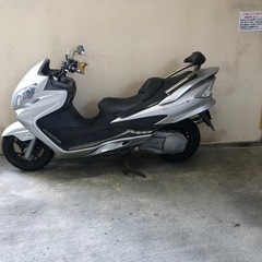 スカイウェーブ 
の画像