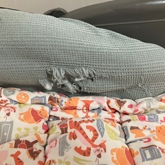 バウンサーの画像