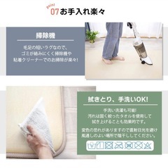 冬用カーペットの画像