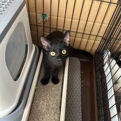 生後6ヶ月くらいの男の子
