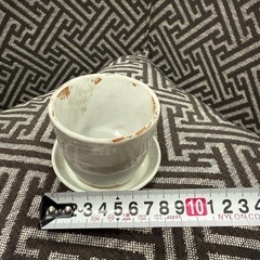 食器30セットの画像