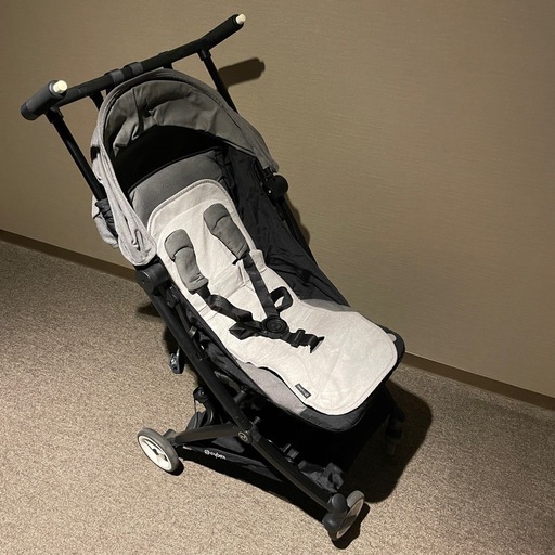 【受渡し決定】サイベックス