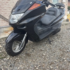 マジェスティ250.の画像