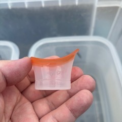 活餌イトミミズ(イトメ)熱帯魚、メダカ、金魚、両生類の画像