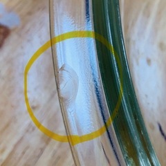 値下げ❗️★昭和レトロな陶器大きめキャセロール★訳あり！内容確認の画像