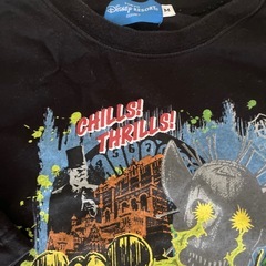 ディズニーリゾートTシャツ2枚の画像