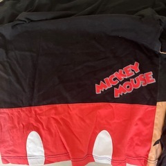 ディズニーリゾートTシャツ2枚の画像