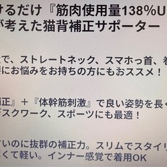 体幹アクティブサポーター　SPINAL-CORE
の画像