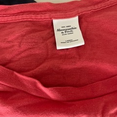 Tシャツの画像