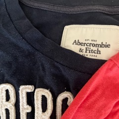 Tシャツの画像