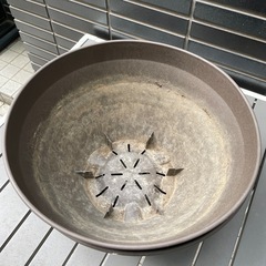植木鉢の画像