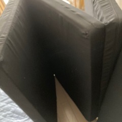 マットリスの画像