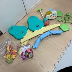 【決まりました！】プーメリーの画像