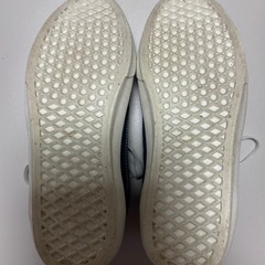 VANSの画像