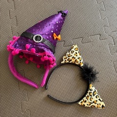 【受付終了】ハロウィンパーティーや施設イベントに。の画像