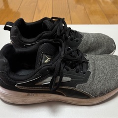 PUMAの画像