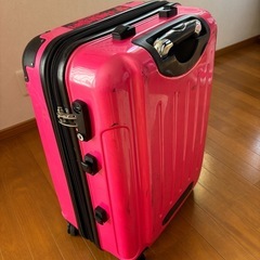 キャリーバッグの画像
