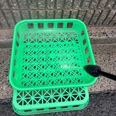 【中古菌糸コンテナL】 ブローや菌床ボトルの整理に最適　積み重ねでスペース確保♪20個の画像