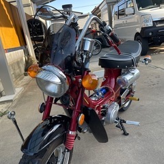 シャリーフルカスタム124ccの画像